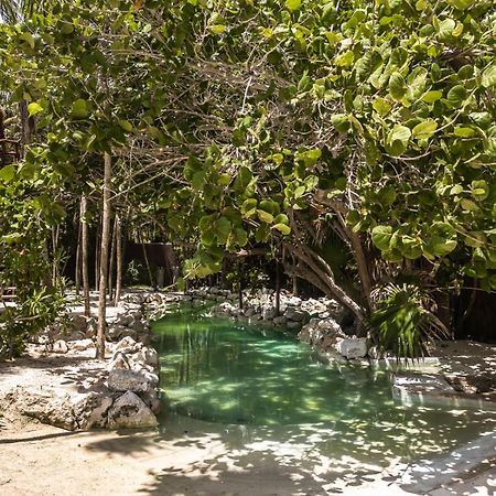 Niken Beachfront Tulum Hotel Zewnętrze zdjęcie