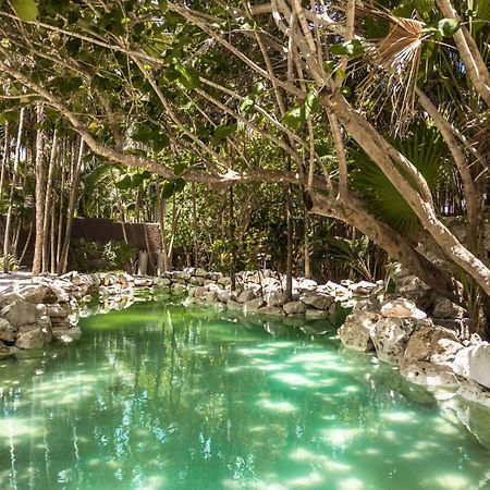 Niken Beachfront Tulum Hotel Zewnętrze zdjęcie