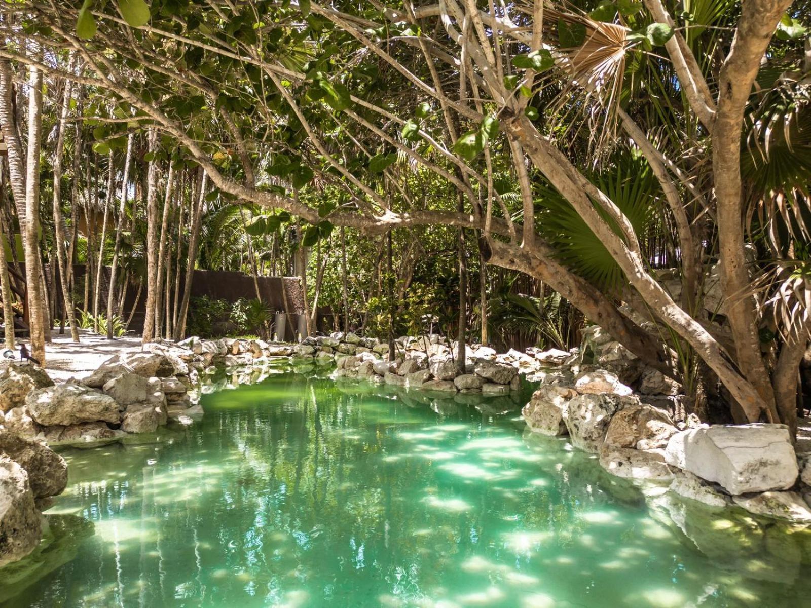 Niken Beachfront Tulum Hotel Zewnętrze zdjęcie